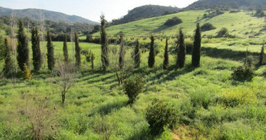 6 Bed House For Sale In Foinikaria Limassol Cyprus