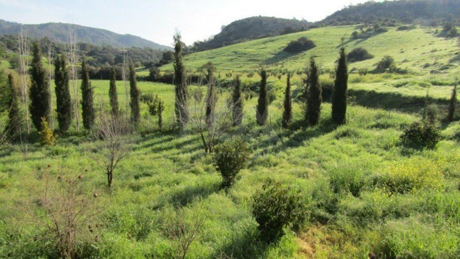 6 Bed House For Sale In Foinikaria Limassol Cyprus