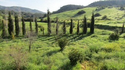 6 Bed House For Sale In Foinikaria Limassol Cyprus