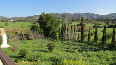 6 Bed House For Sale In Foinikaria Limassol Cyprus