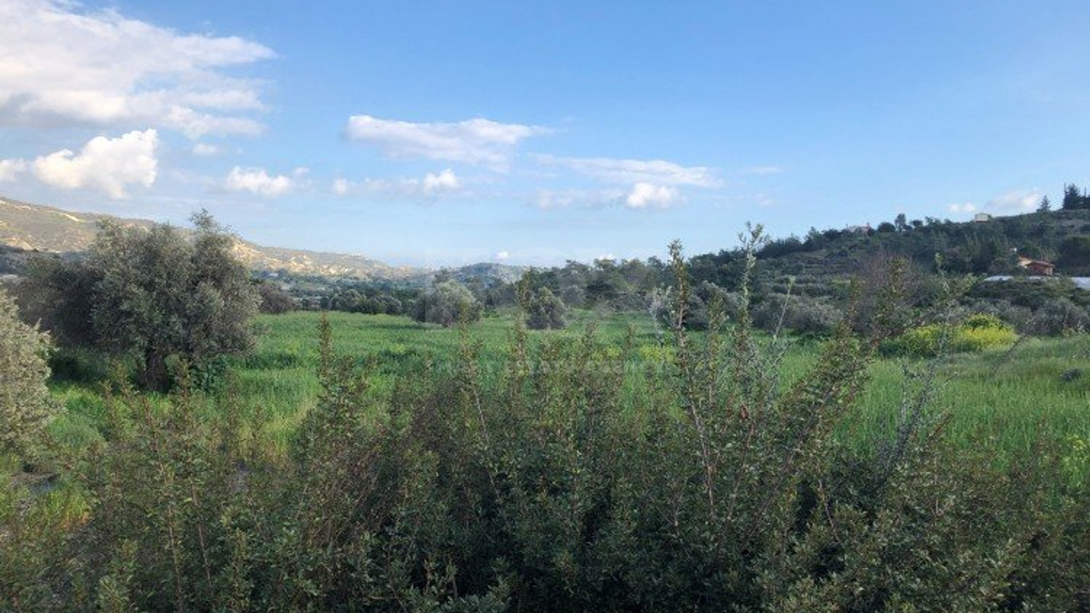 Land For Sale In Monagroulli Limassol Cyprus