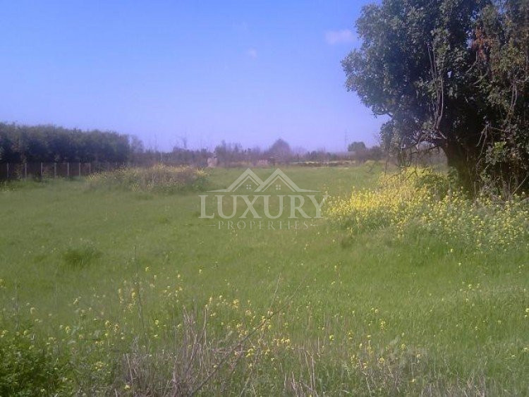 Land For Sale In Ypsonas Limassol Cyprus