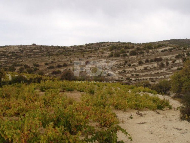 Land For Sale In Koilani Limassol Cyprus
