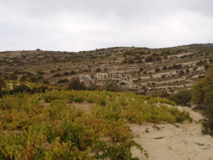 Land For Sale In Koilani Limassol Cyprus