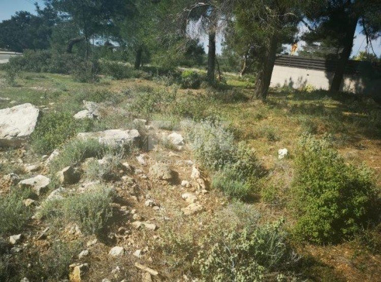 Plot For Sale In Souni Zanakia Limassol Cyprus