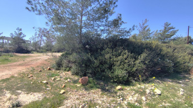 Plot For Sale In Souni Zanakia Limassol Cyprus