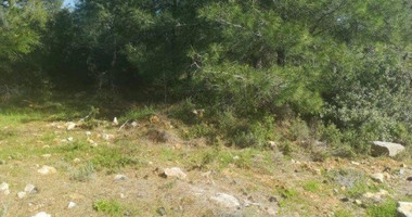 Plot For Sale In Souni Zanakia Limassol Cyprus