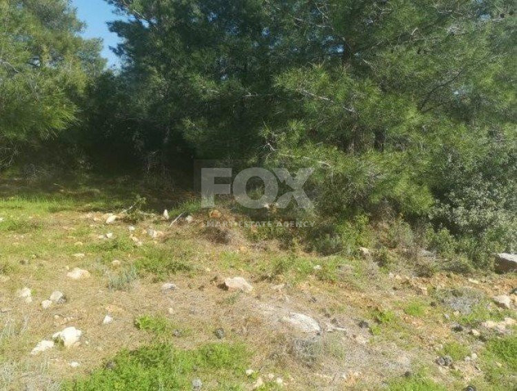 Plot For Sale In Souni Zanakia Limassol Cyprus