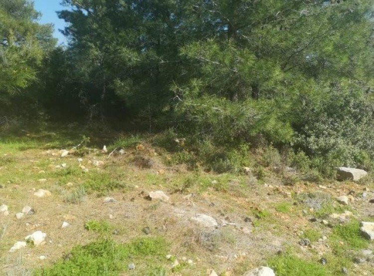 Atterrir  Souni Zanatzia, Chypre