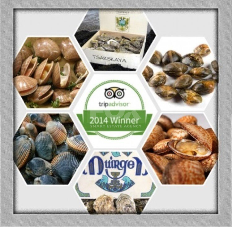 Freehold Shops with Business & goodwill For Sale In Potamos Germasogeias Limassol Cyprus