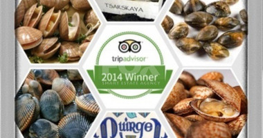 Freehold Shops with Business & goodwill For Sale In Potamos Germasogeias Limassol Cyprus