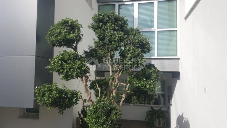 3 Bed House For Sale In Episkopi Lemesou Limassol Cyprus