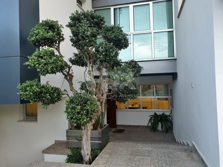 3 Bed House For Sale In Episkopi Lemesou Limassol Cyprus