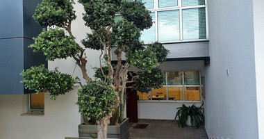 3 Bed House For Sale In Episkopi Lemesou Limassol Cyprus