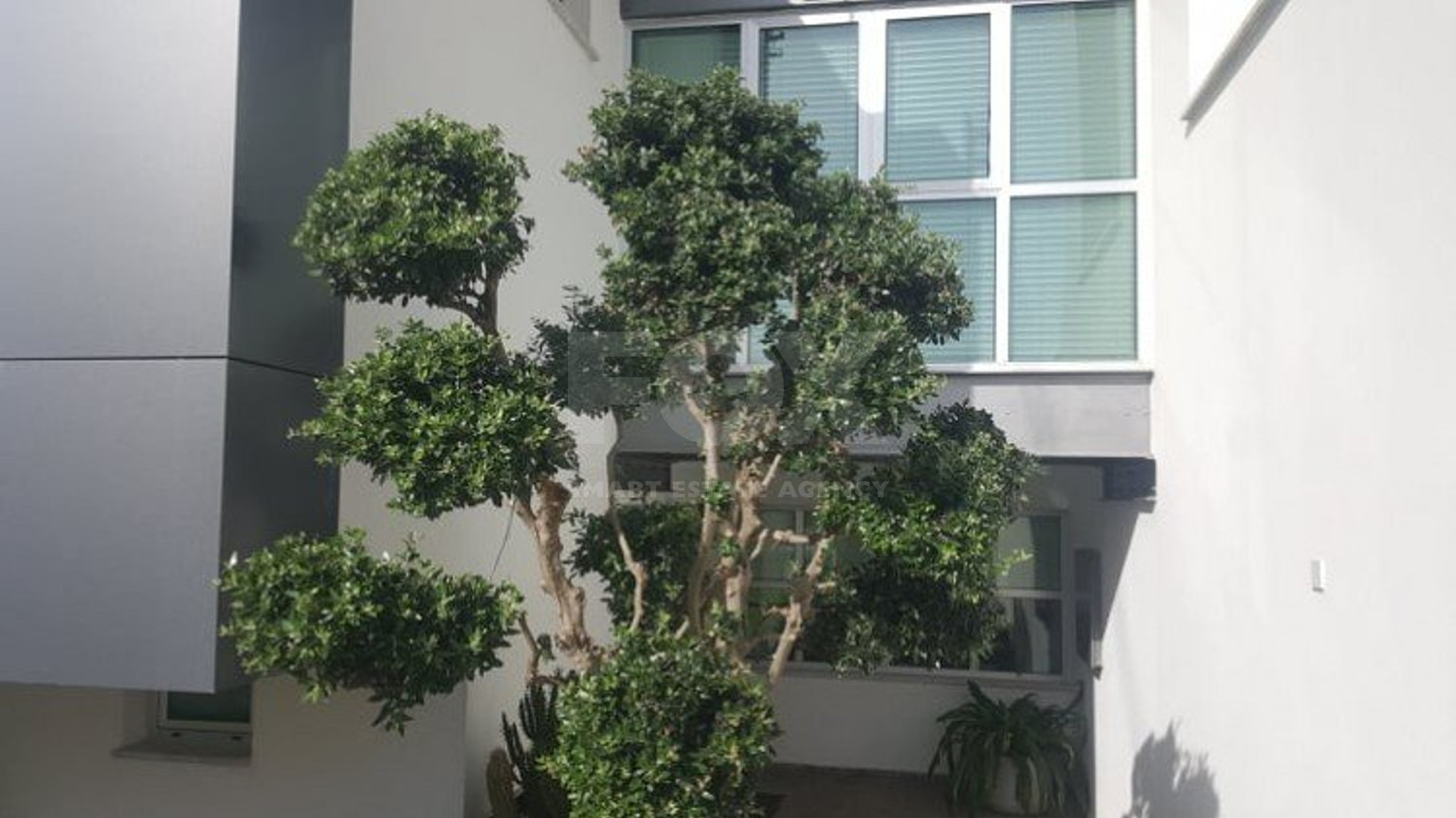 3 Bed House For Sale In Episkopi Lemesou Limassol Cyprus