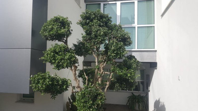 3 Bed House For Sale In Episkopi Lemesou Limassol Cyprus