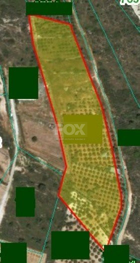 Land For Sale In Souni Zanakia Limassol Cyprus