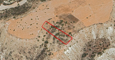 Agricultural Land For Sale In Pissouri Limassol Cyprus
