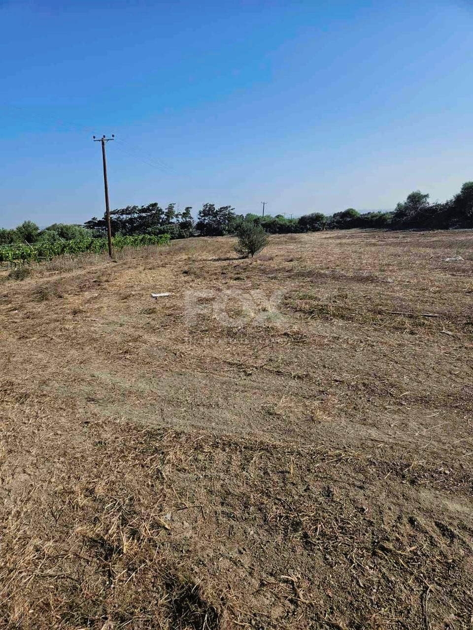 Land For Sale In Akrotiri Limassol Cyprus