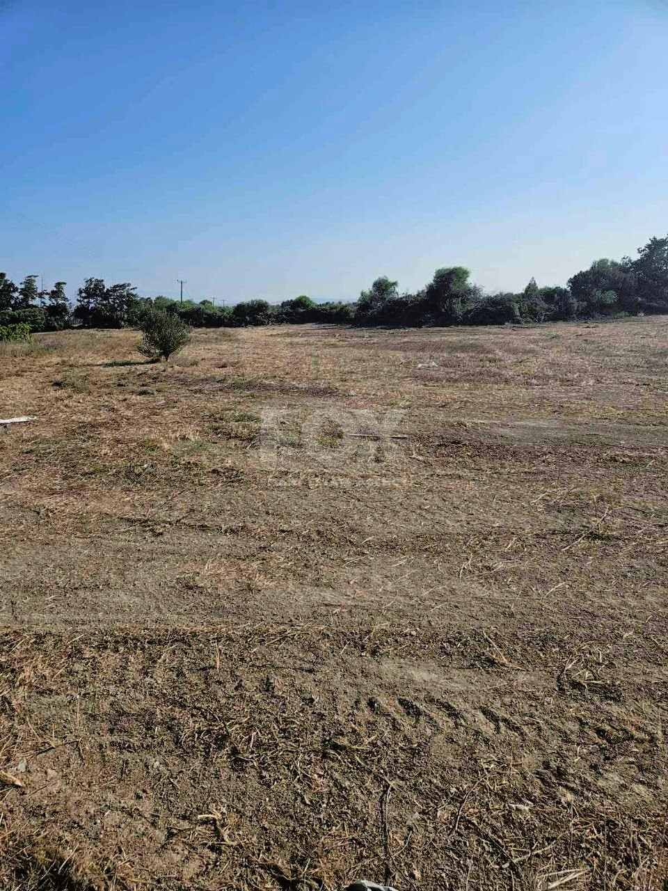 Land For Sale In Akrotiri Limassol Cyprus