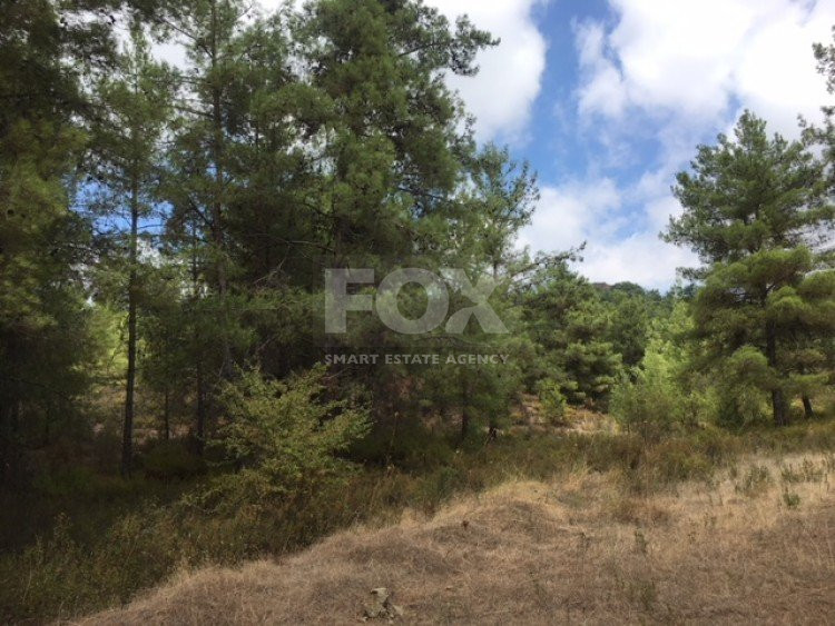 Land For Sale In Mandria Lemesou Limassol Cyprus