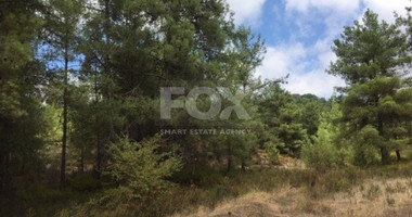 Land For Sale In Mandria Lemesou Limassol Cyprus