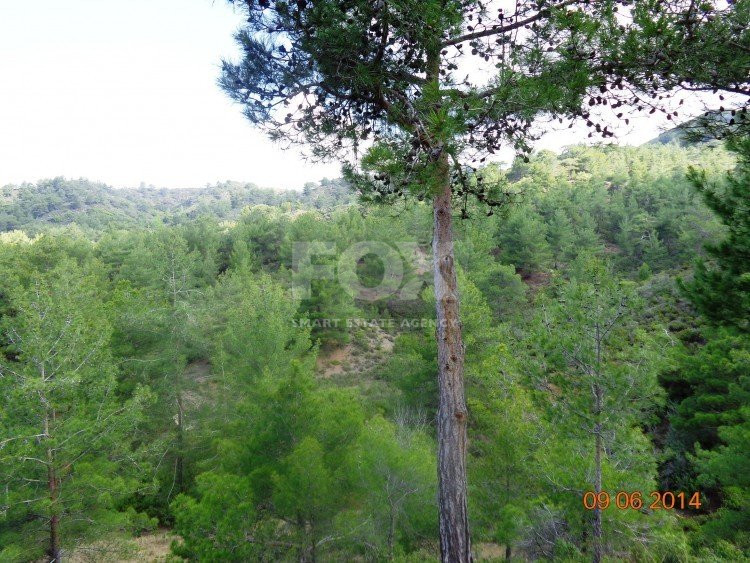 Land For Sale In Mandria Lemesou Limassol Cyprus
