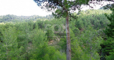 Land For Sale In Mandria Lemesou Limassol Cyprus