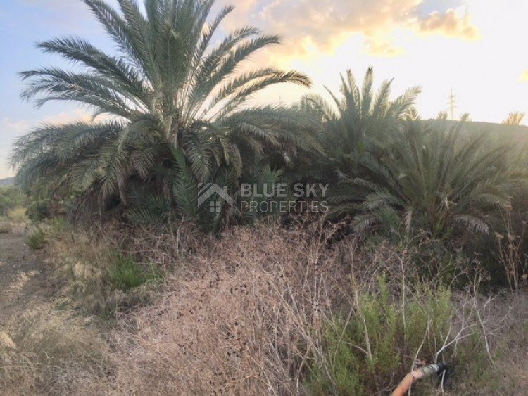 Land For Sale In Moni Limassol Cyprus