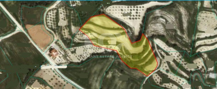 Land For Sale In Kallepeia Paphos Cyprus