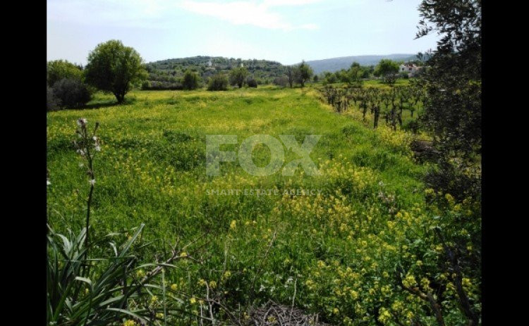 Land For Sale In Letymvou Paphos Cyprus