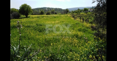 Land For Sale In Letymvou Paphos Cyprus
