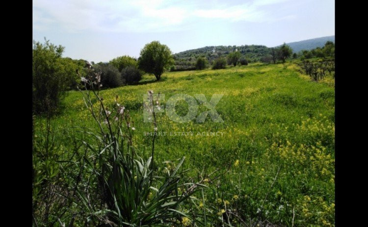 Land For Sale In Letymvou Paphos Cyprus