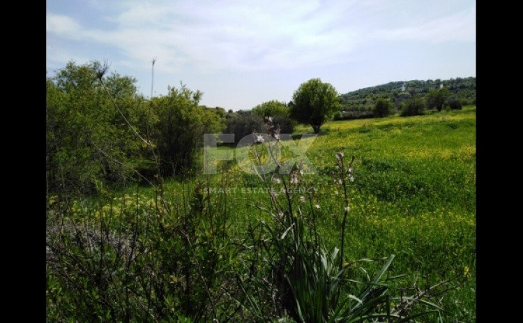 Land For Sale In Letymvou Paphos Cyprus