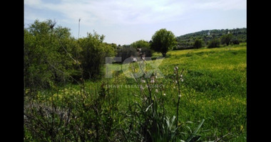 Land For Sale In Letymvou Paphos Cyprus
