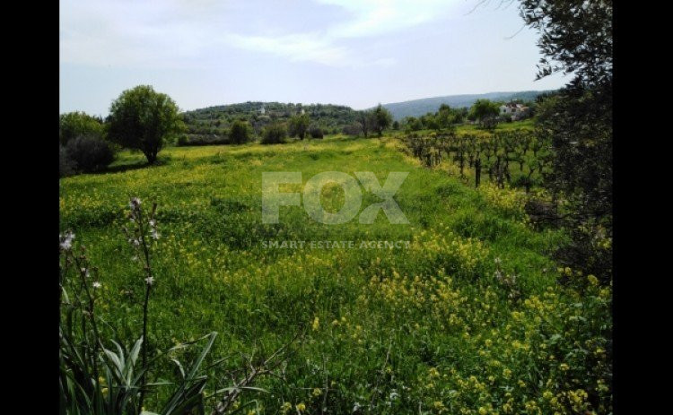 Land For Sale In Letymvou Paphos Cyprus