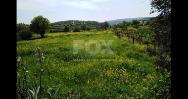 Land For Sale In Letymvou Paphos Cyprus