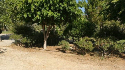 Land For Sale In Asgata Limassol Cyprus