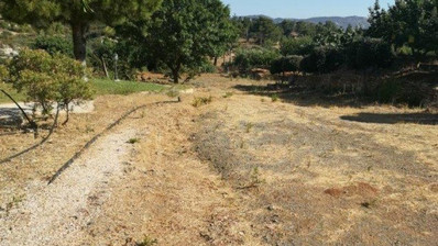 Land For Sale In Asgata Limassol Cyprus