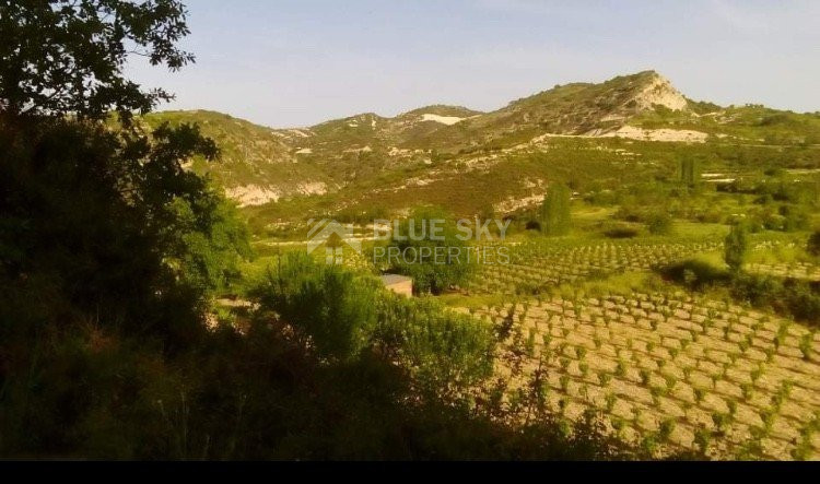 Land For Sale In Mandria Lemesou Limassol Cyprus