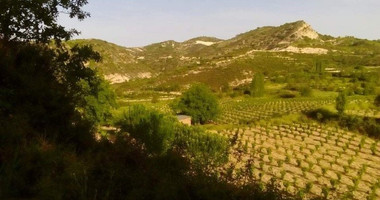 Land For Sale In Mandria Lemesou Limassol Cyprus