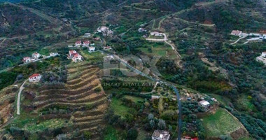 Land For Sale In Pomos , Paphos