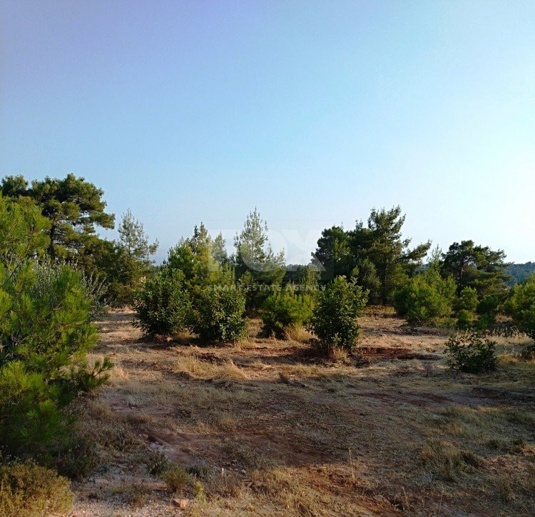 Land For Sale In Souni Zanakia Limassol Cyprus