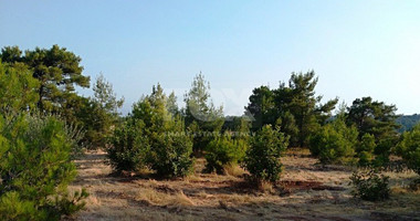 Land For Sale In Souni Zanakia Limassol Cyprus