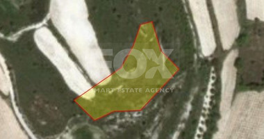 Land in Kathikas Paphos Cyprus