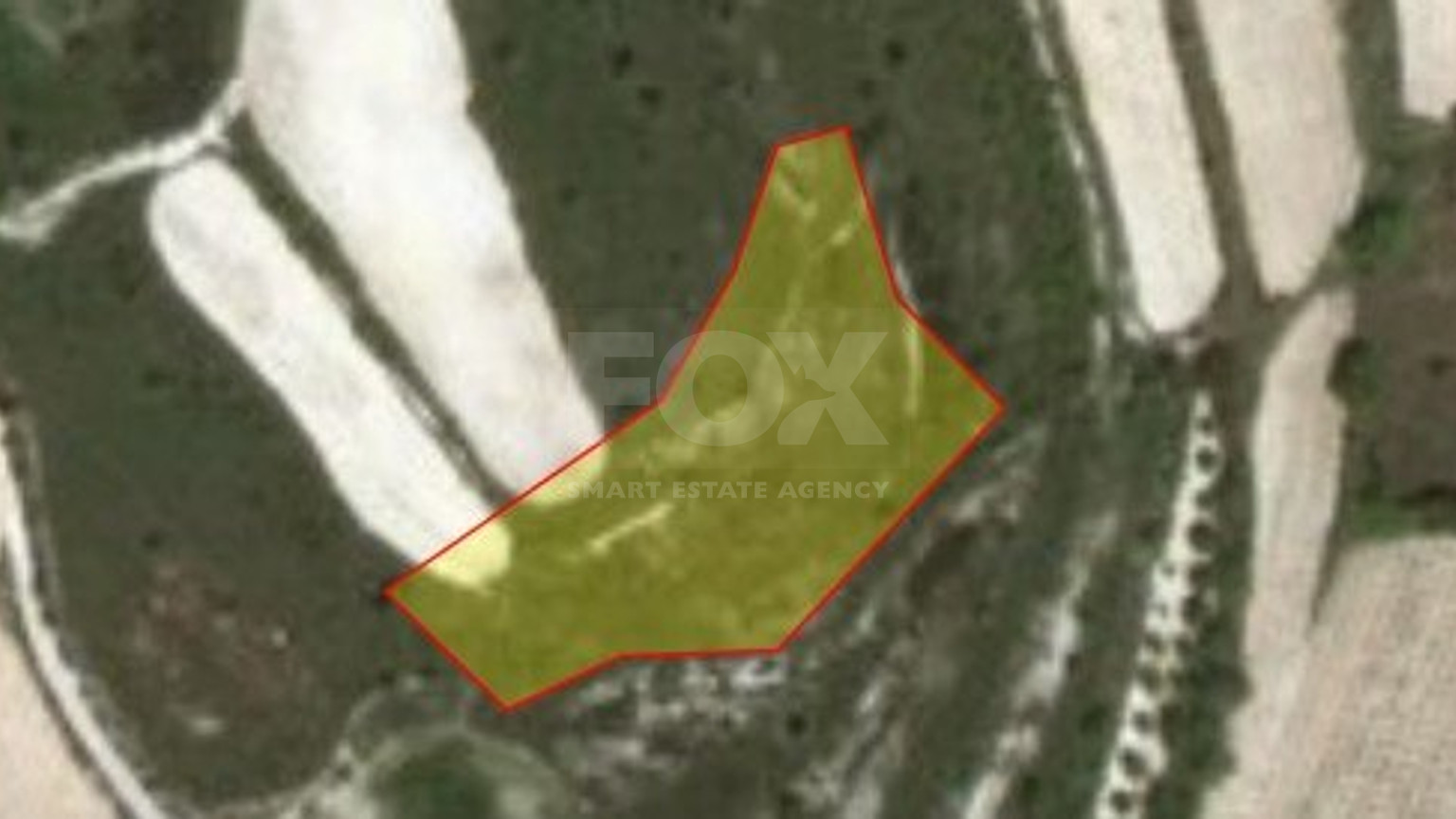 Land in Kathikas Paphos Cyprus
