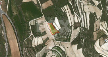 Land in Kathikas Paphos Cyprus