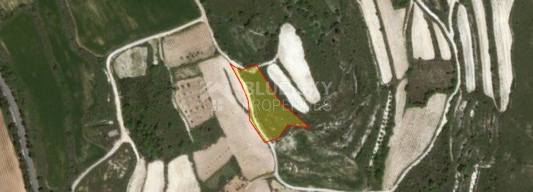 Land in Kathikas Paphos Cyprus