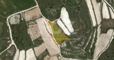 Land in Kathikas Paphos Cyprus