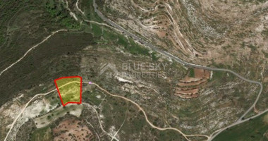 Land For Sale In Anogyra Limassol Cyprus